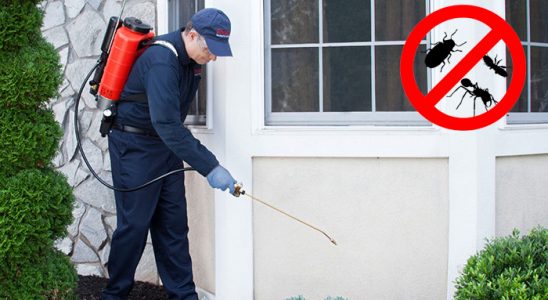 Kargı Böcek ve Haşere İlaçlama böcek ilaçlama ve haşere kontrolü — ilaclama-tr.com